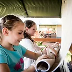 Europarcs Gulperberg 캠프장